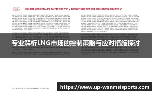 专业解析LNG市场的控制策略与应对措施探讨